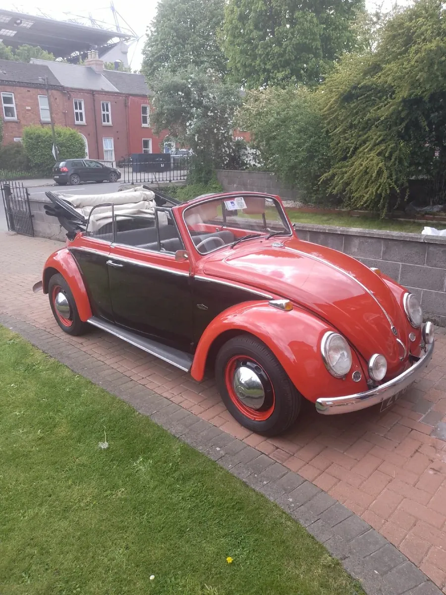1964 Karmann Beetle Cabriolet - Image 1