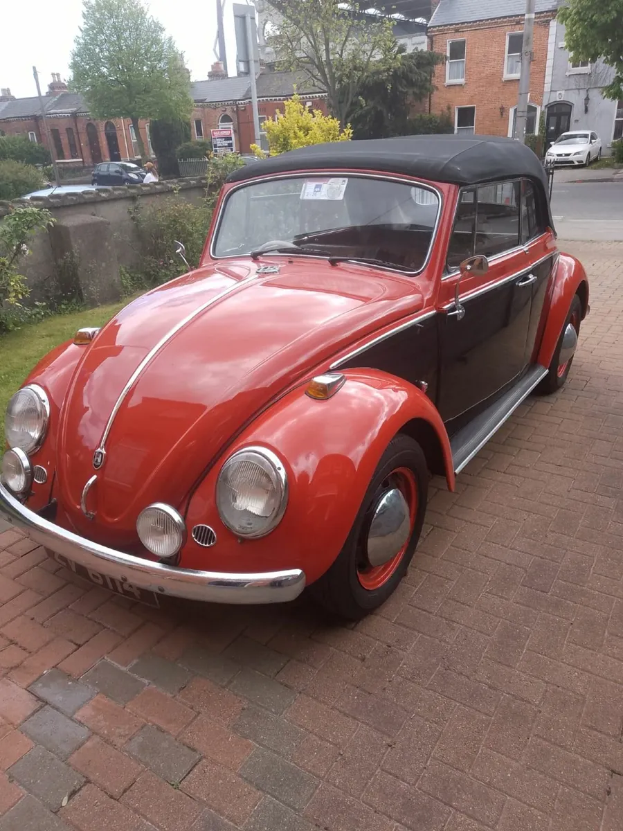 1964 Karmann Beetle Cabriolet - Image 3