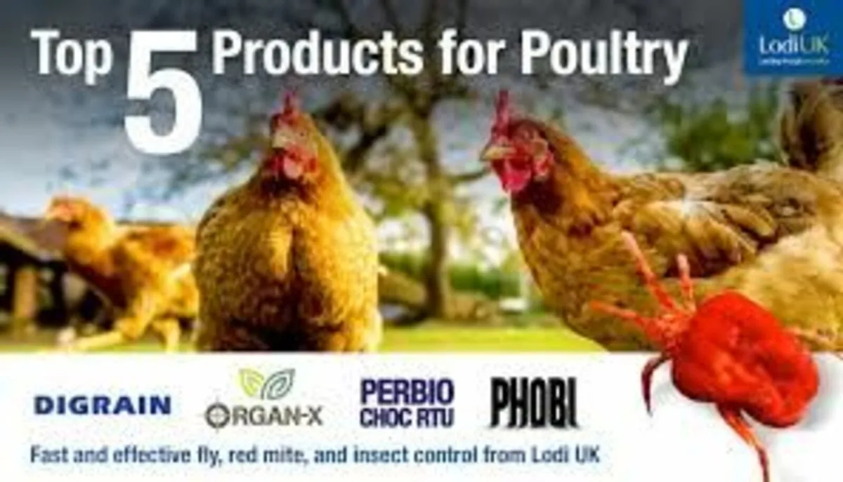 Perbio Choc 5Ltr RTU Insecticide for Mites & Flies - Image 4
