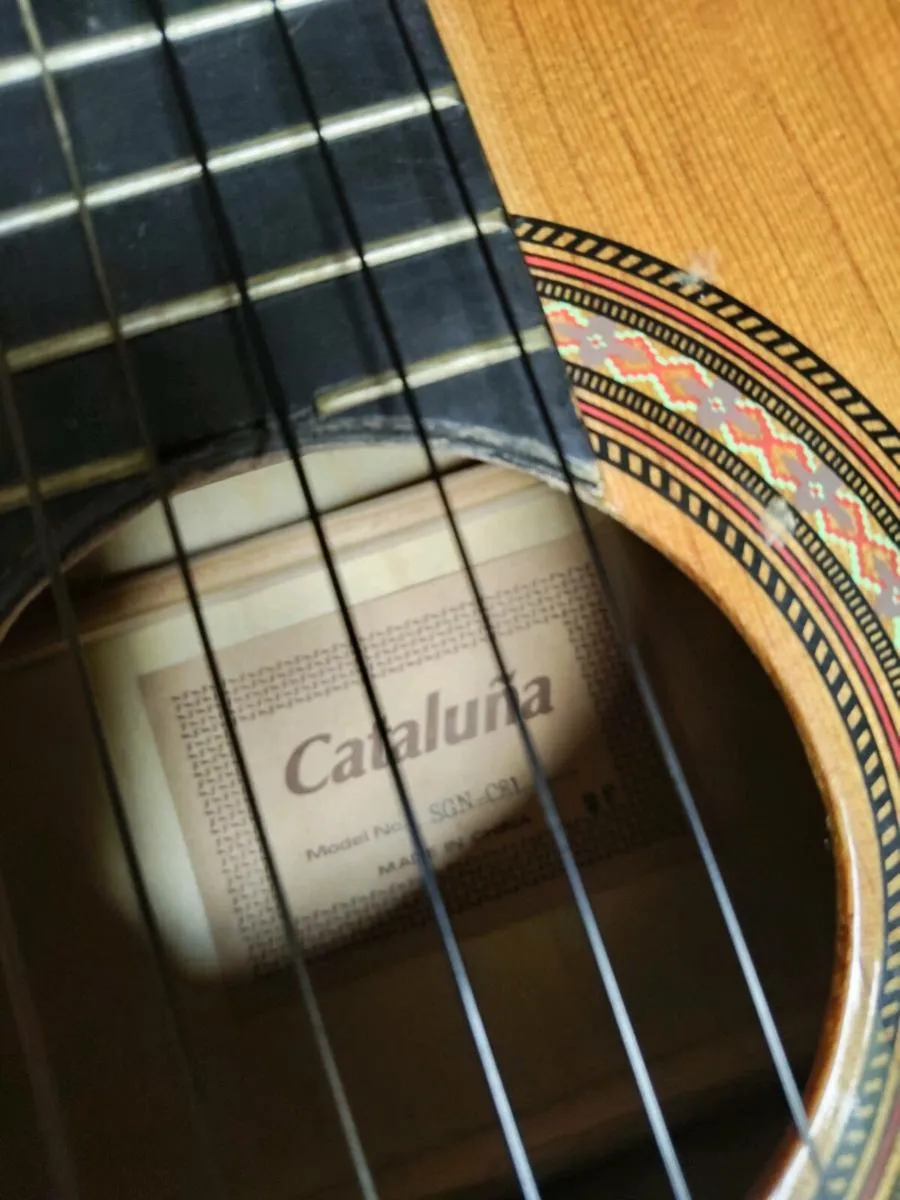 Acoustic Guitar - Image 2