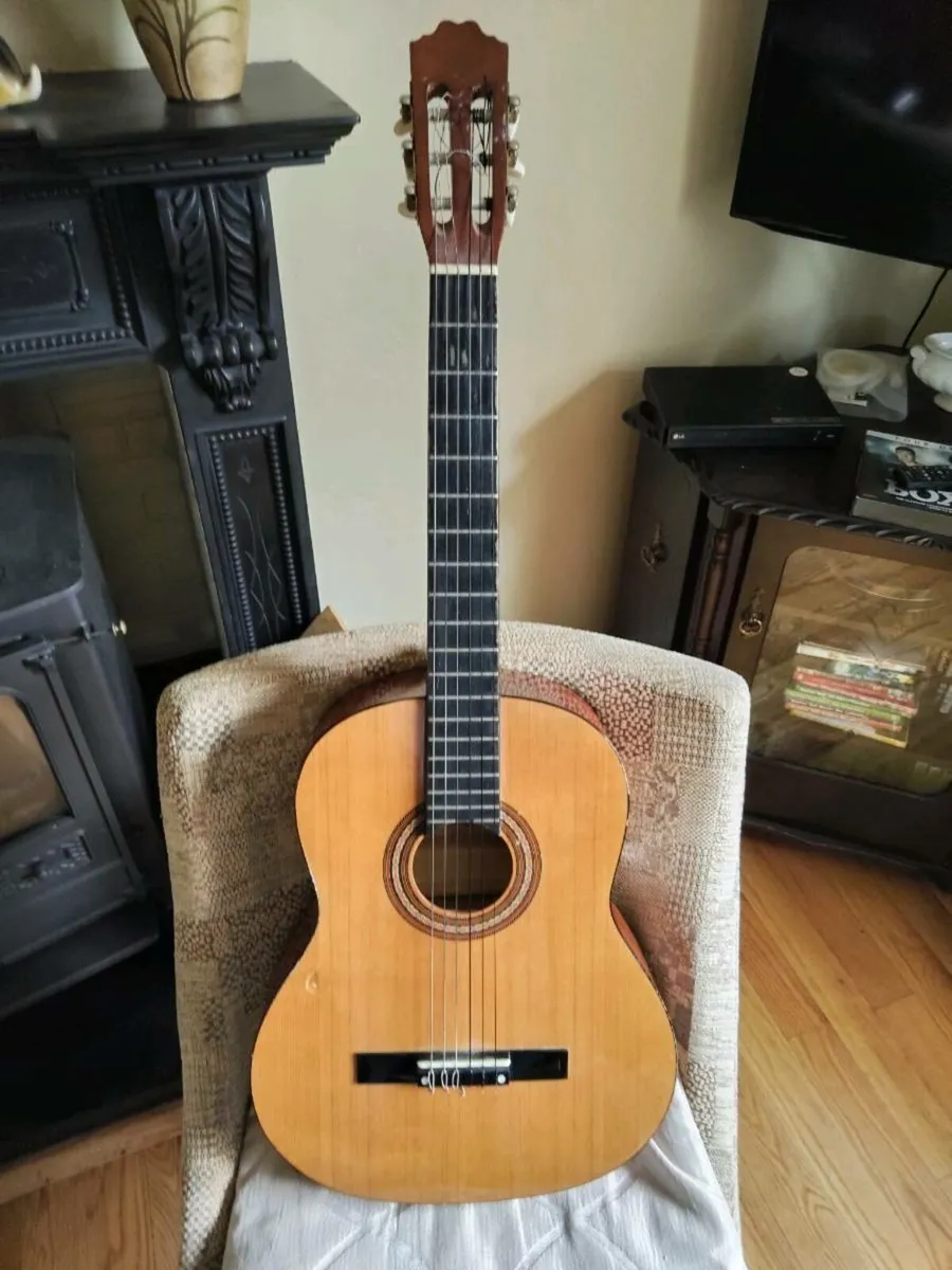Acoustic Guitar - Image 4