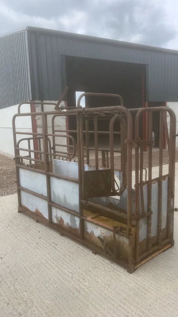 Cattle crush - Image 3