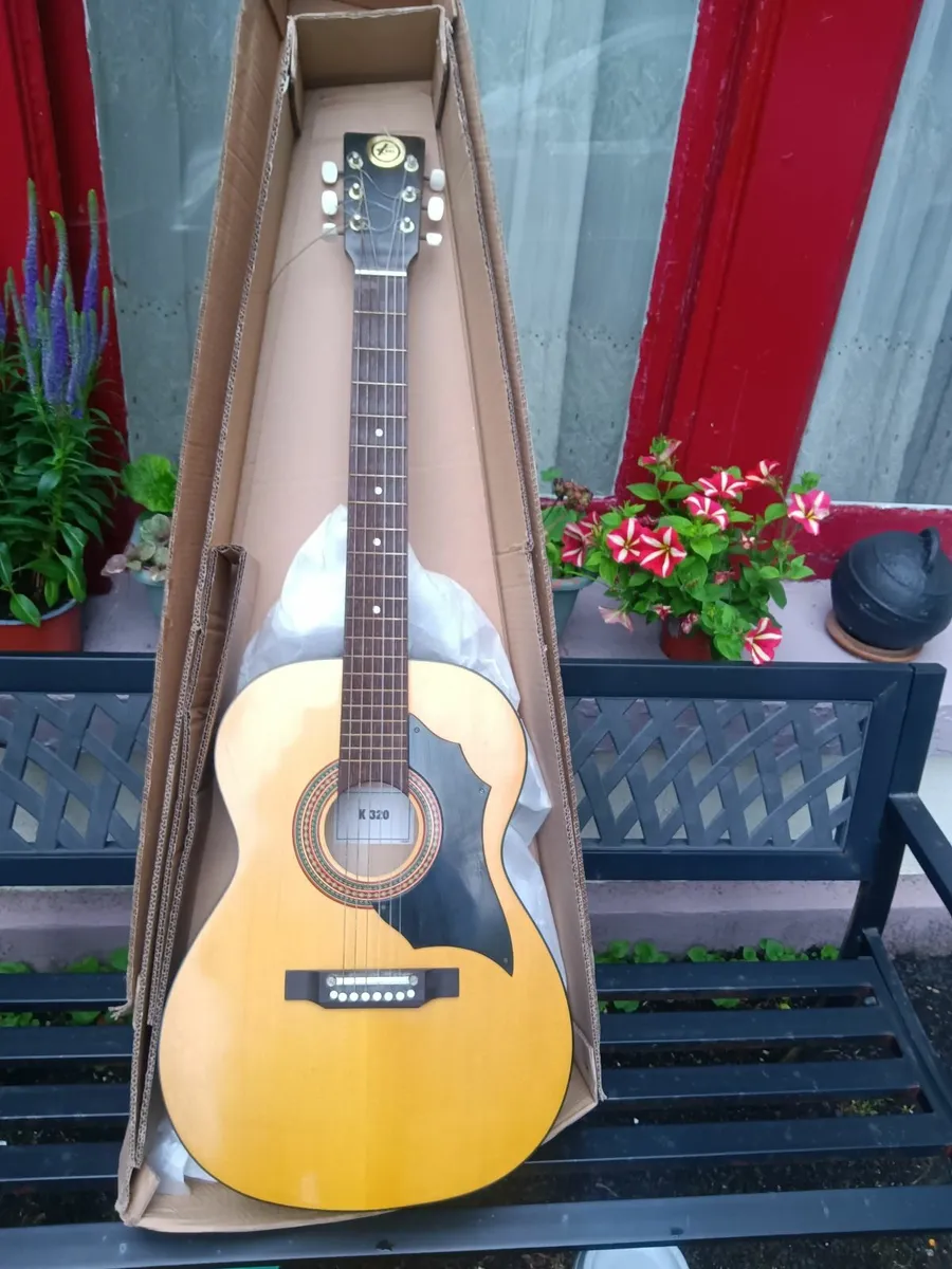 Acoustic Guitar