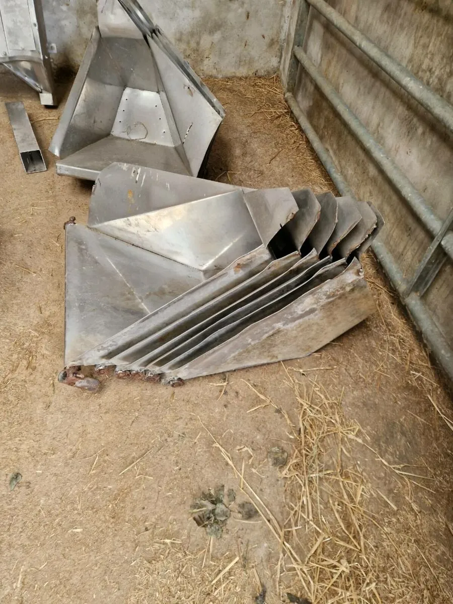 Cashman feeders - Image 4