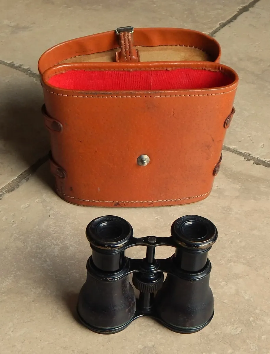 Vintage Field Binoculars by W. Gregory & Co Ltd - Image 1