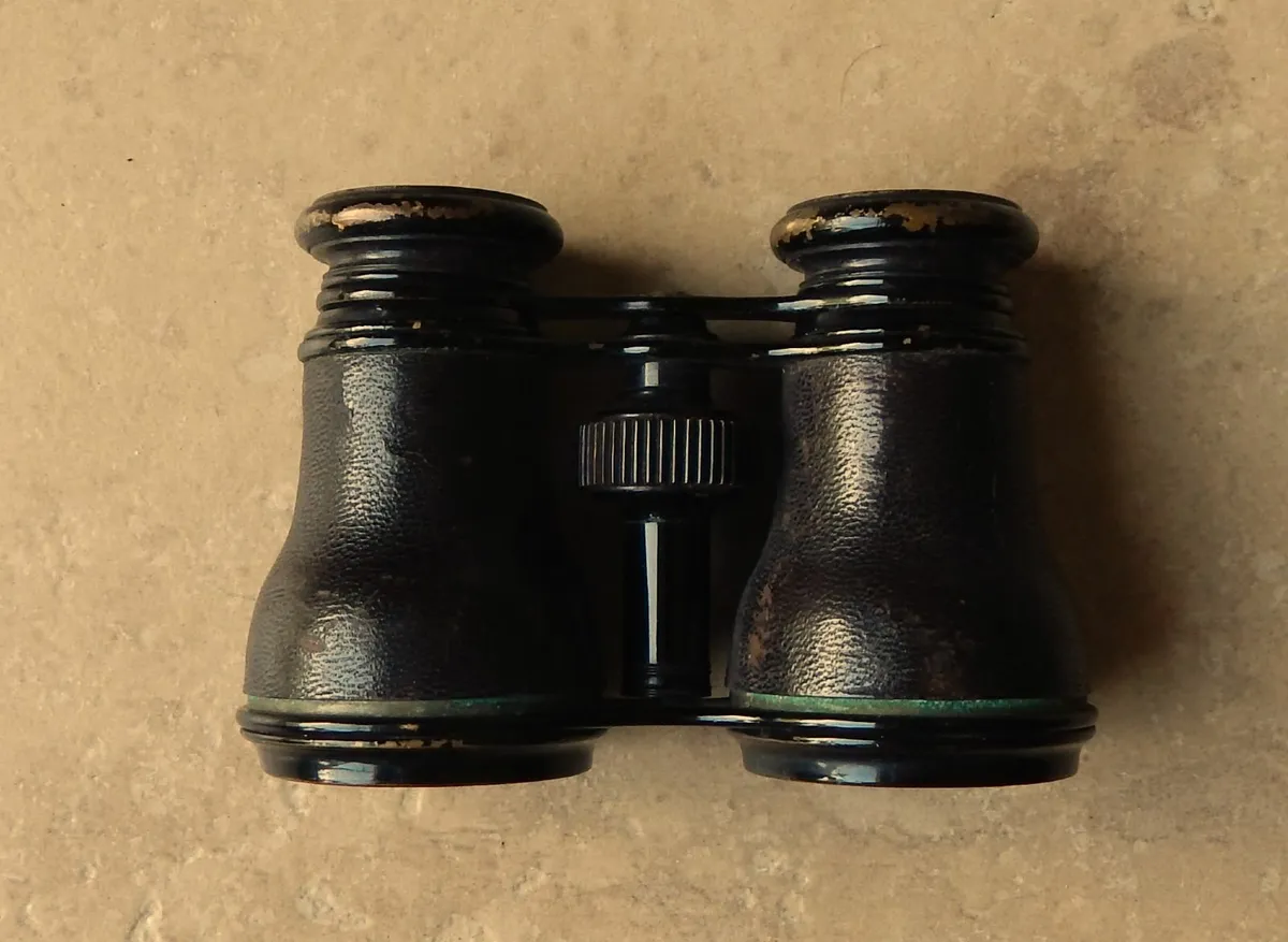 Vintage Field Binoculars by W. Gregory & Co Ltd - Image 3