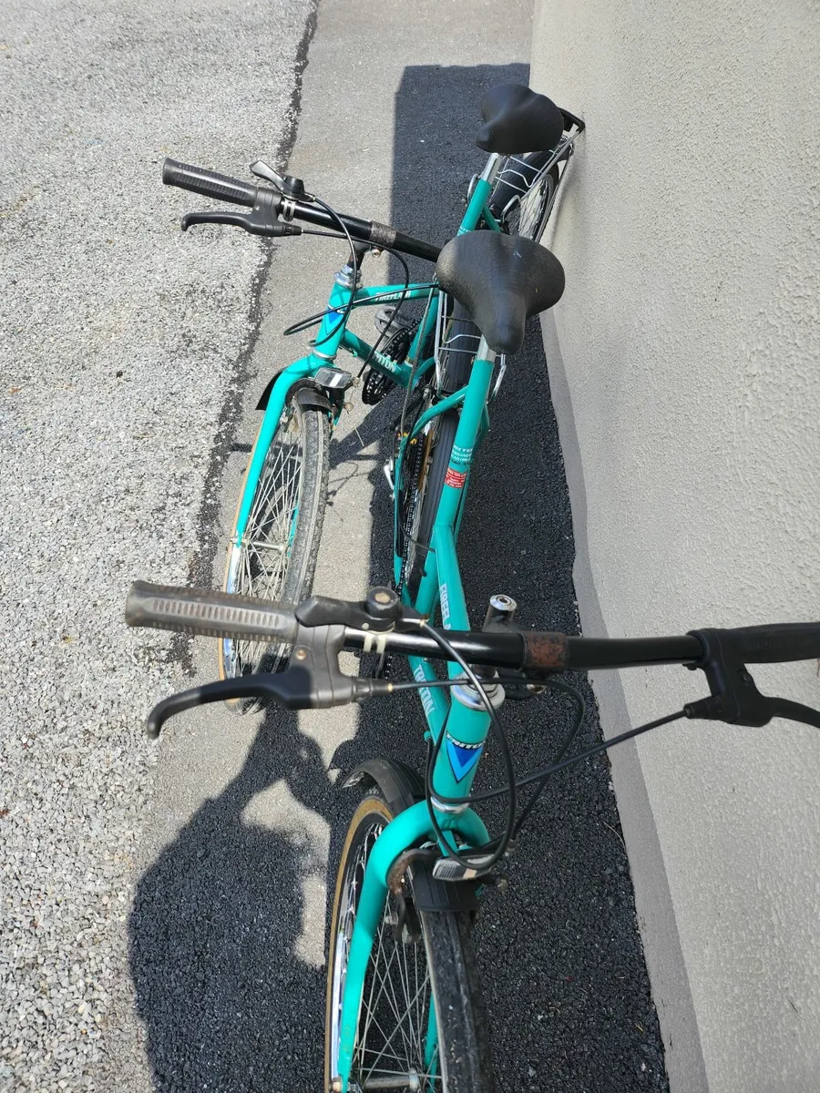 Bicycle - Ladies - Image 2