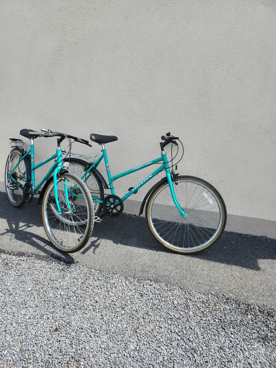 Bicycle - Ladies - Image 1