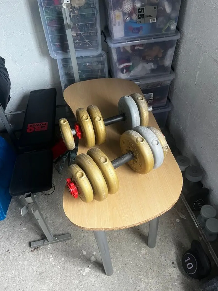 Gym - Image 4