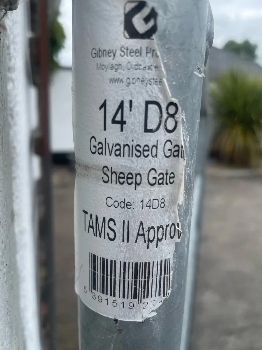 Galvanised gate 14ft Sheep gate - Image 2