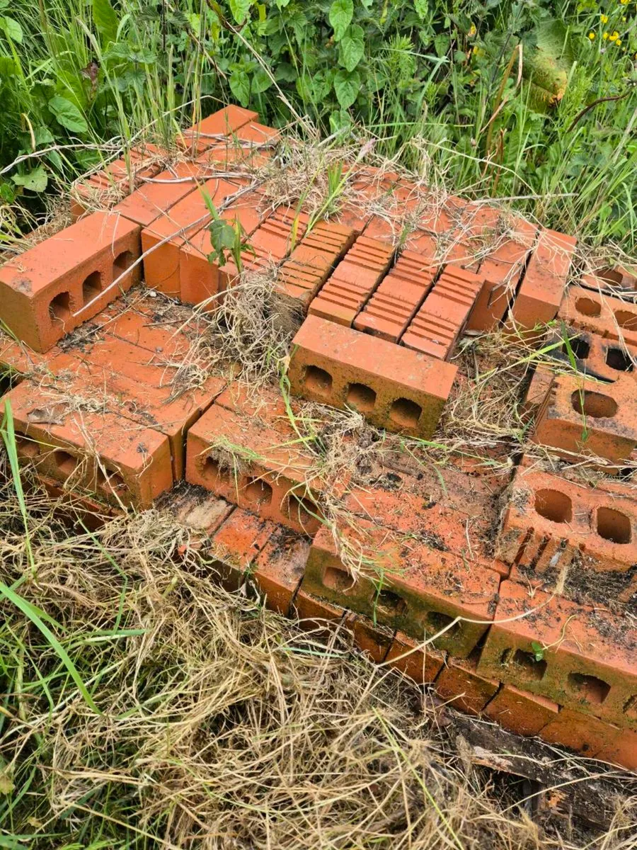 Red bricks - Image 1