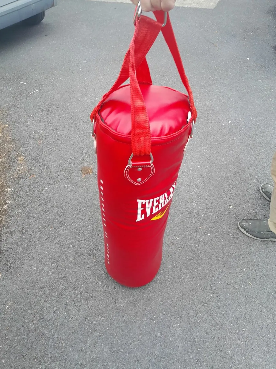 Everlast Hanging Boxing Bag - Image 1