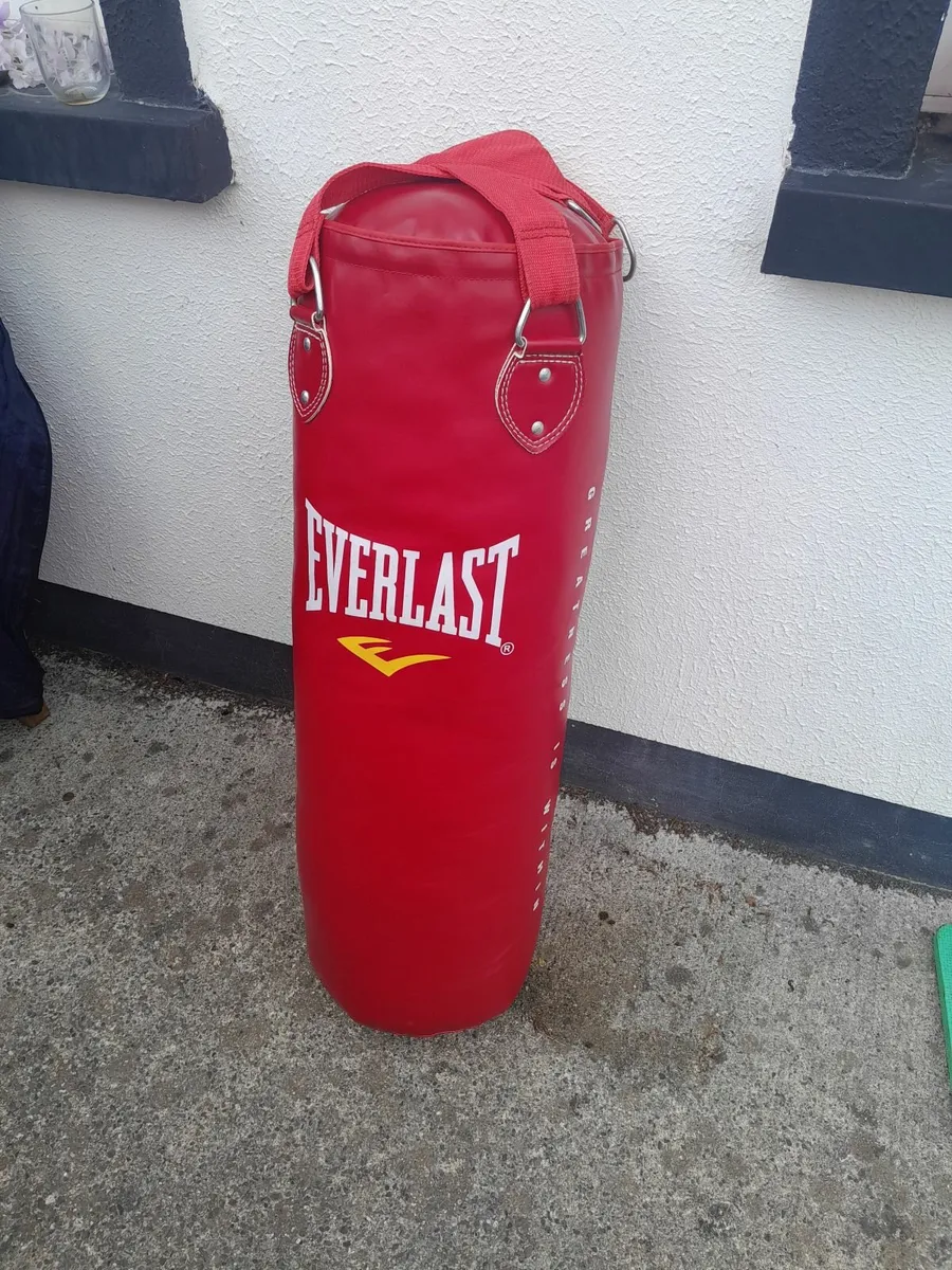 Everlast Hanging Boxing Bag - Image 2