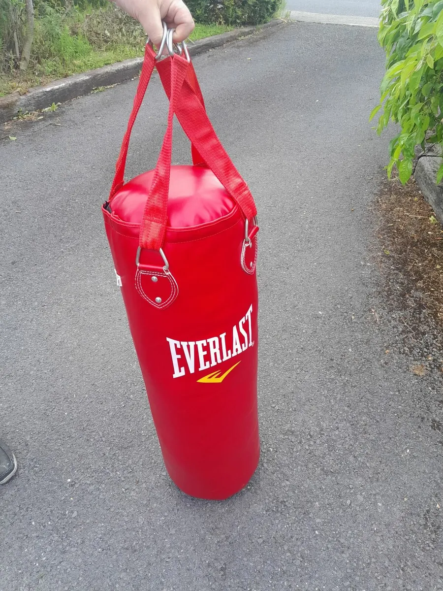 Everlast Hanging Boxing Bag - Image 3