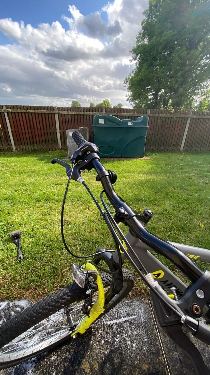 Mountain bike - Image 1