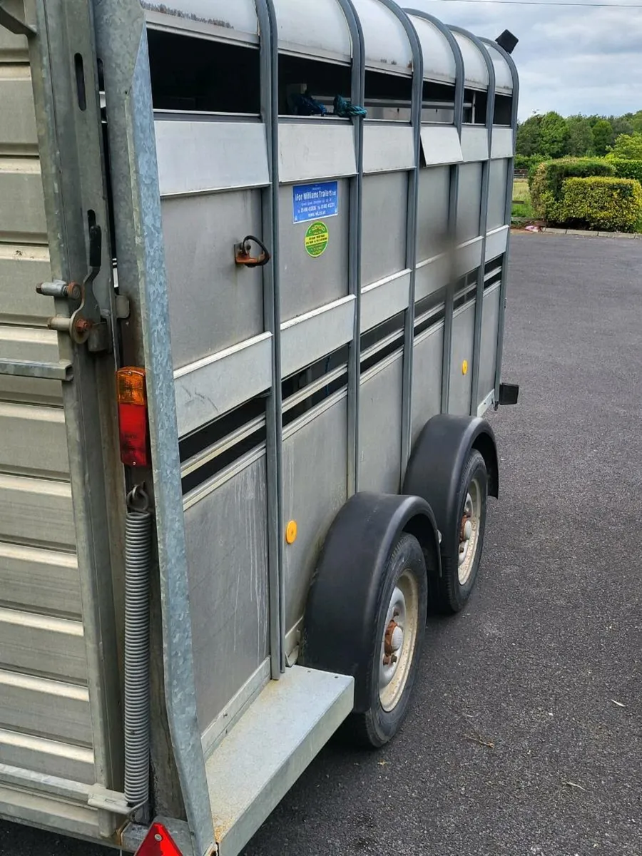 CATTLE TRAILER - Image 2