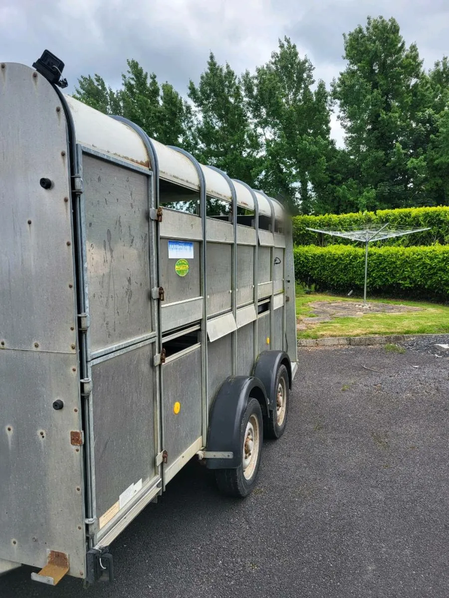 CATTLE TRAILER - Image 1