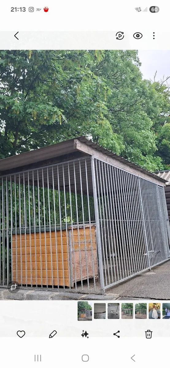 Dog Run - Image 2