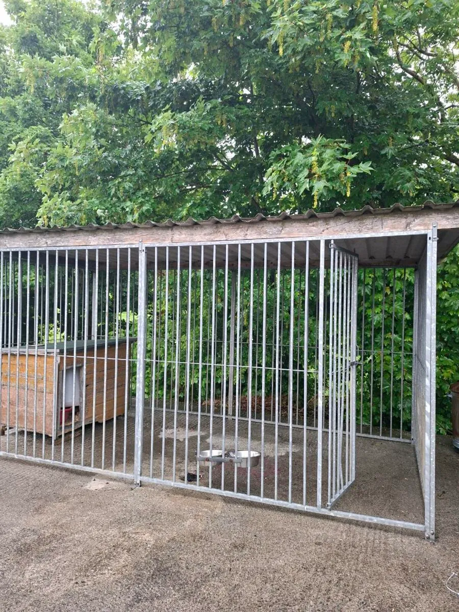 Dog Run - Image 4