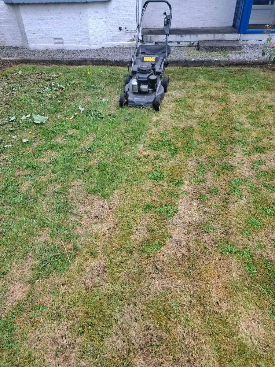 All lawn maintenance spaying and any garden work - Image 1