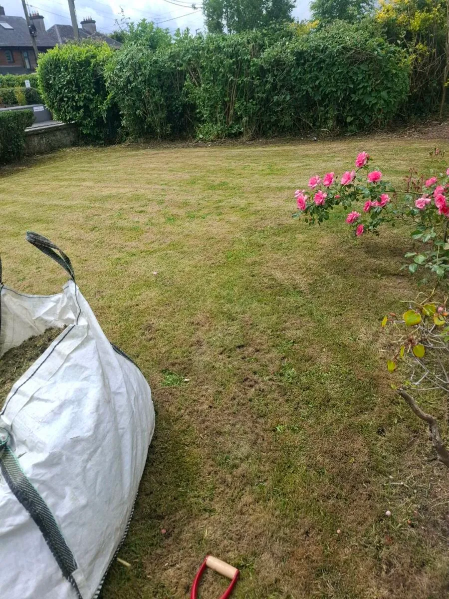 All lawn maintenance spaying and any garden work - Image 2