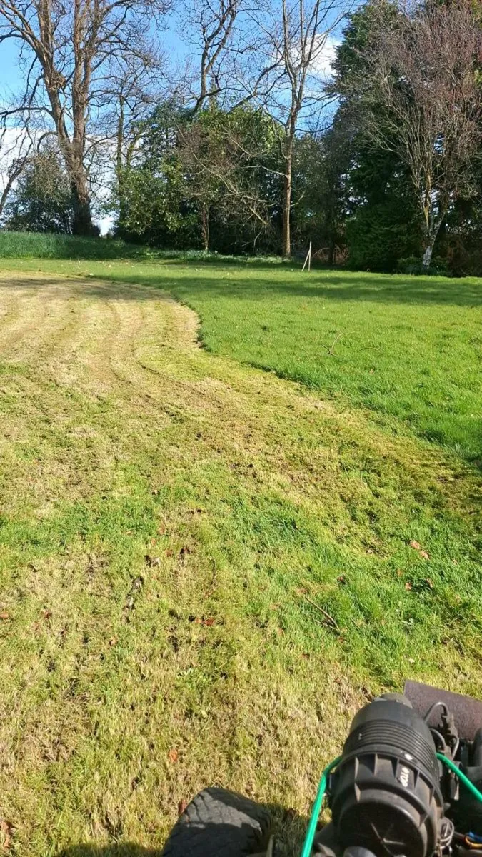 All lawn maintenance spaying and any garden work - Image 4