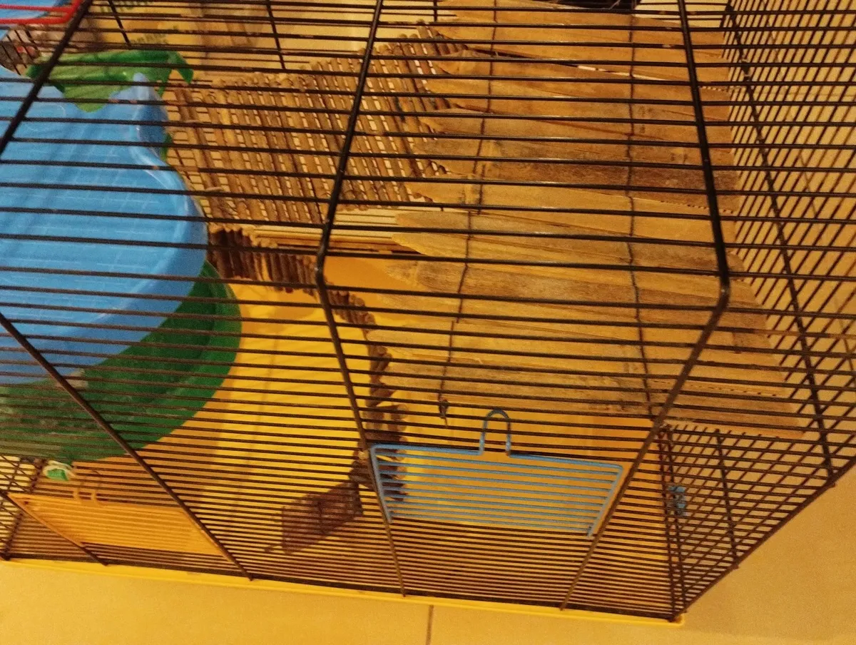Hamster cage gerbil rabbit guinea pig crate kennel - Image 1