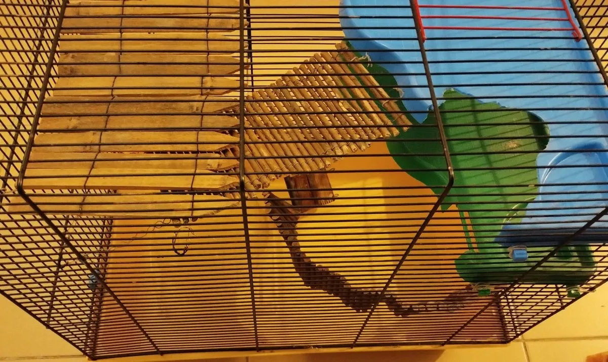 Hamster cage gerbil rabbit guinea pig crate kennel - Image 2