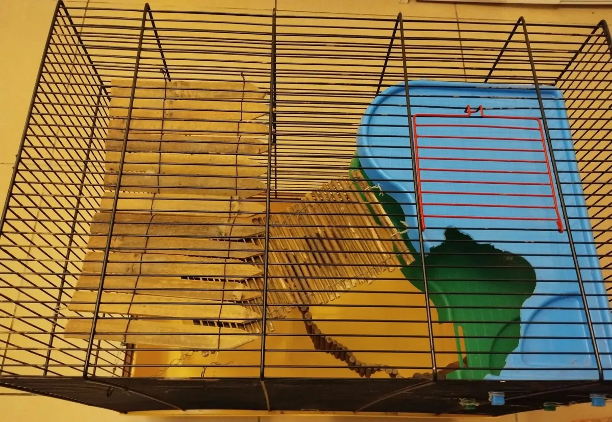 Hamster cage gerbil rabbit guinea pig crate kennel - Image 4