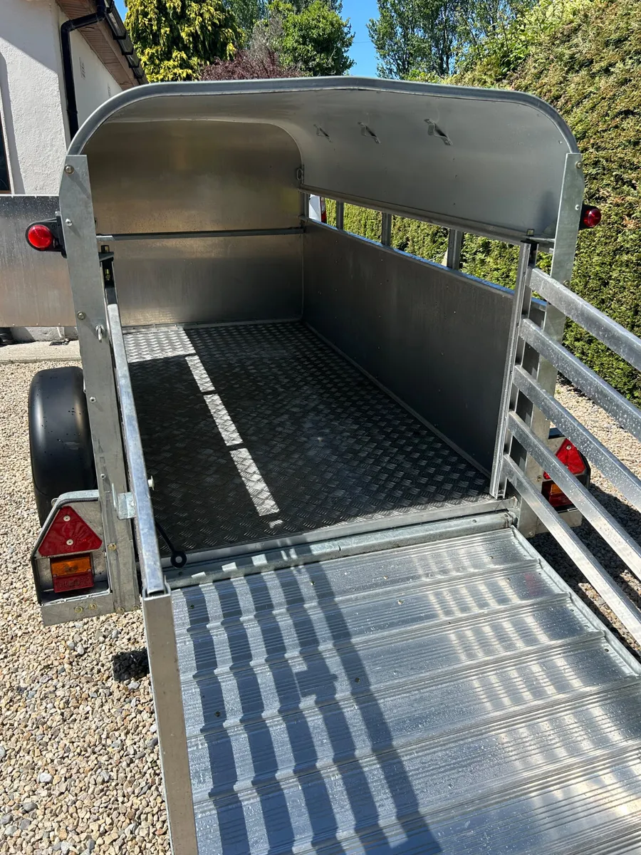 2023 Ifor Williams P8G 8x4 Single Axle - Image 4