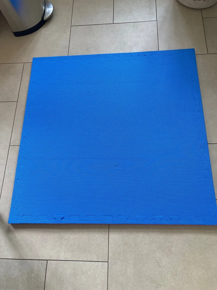 Punch/kick bag, wall bracket and mat - Image 3