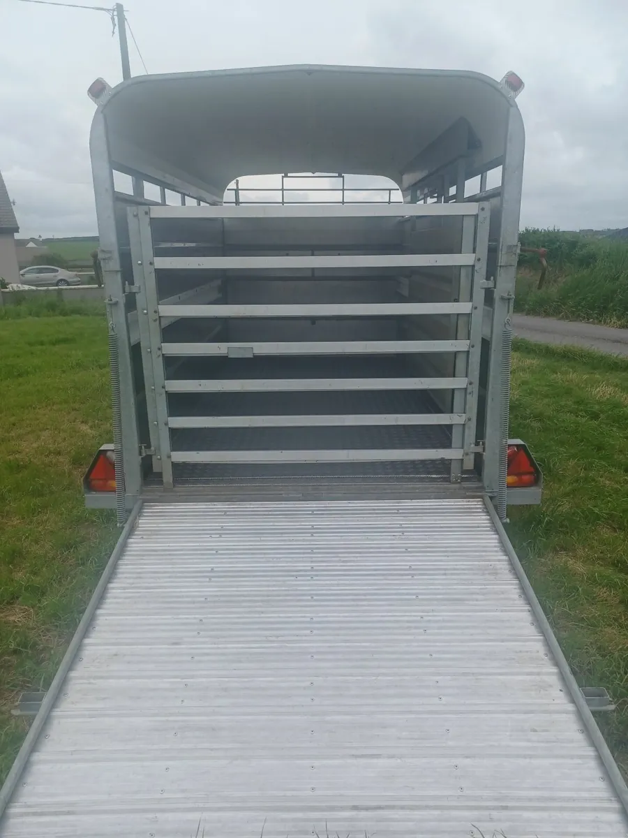 Tuffmac 12 x 6 Cattle Trailer For Sale - Image 2