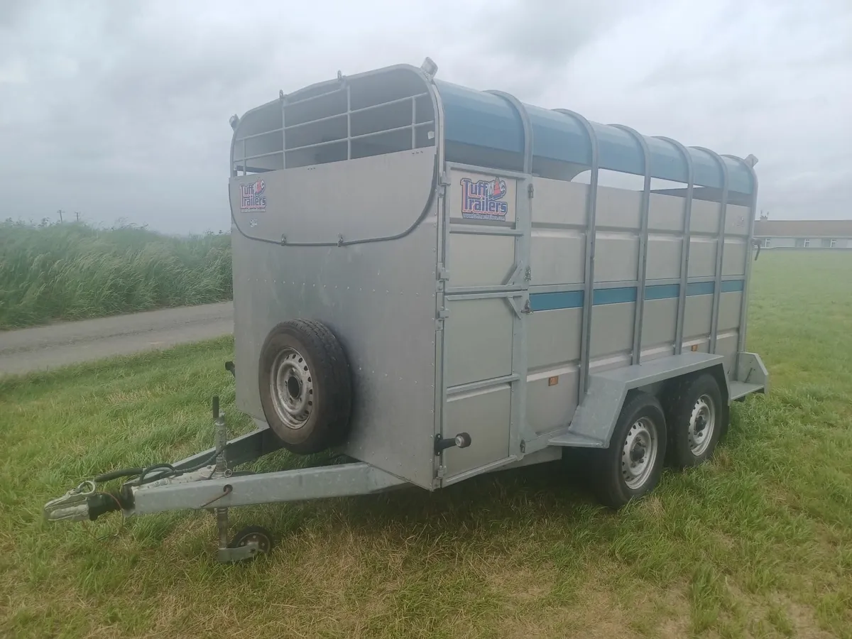 Tuffmac 12 x 6 Cattle Trailer For Sale - Image 1