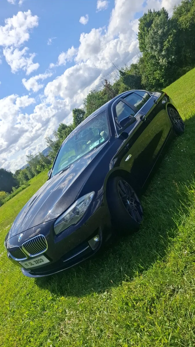 Bmw F10 520d SE 6speed - Image 2