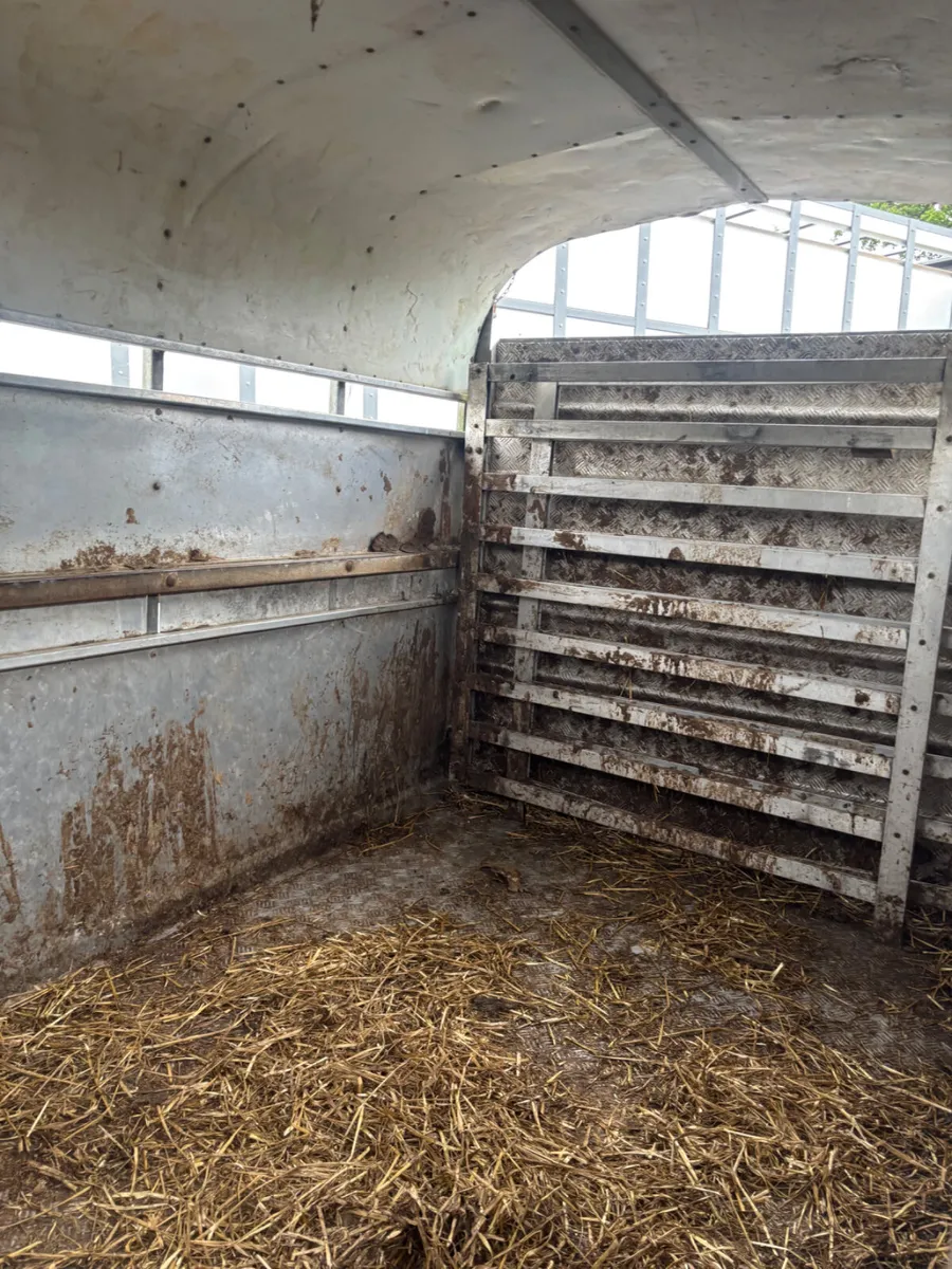 Nugent cattle trailer - Image 4