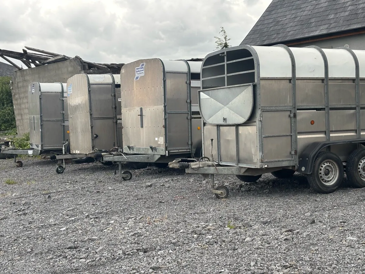 Selection of 8x5 livestock trailers - Image 1