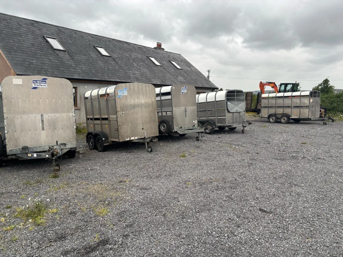 Selection of 8x5 livestock trailers - Image 2