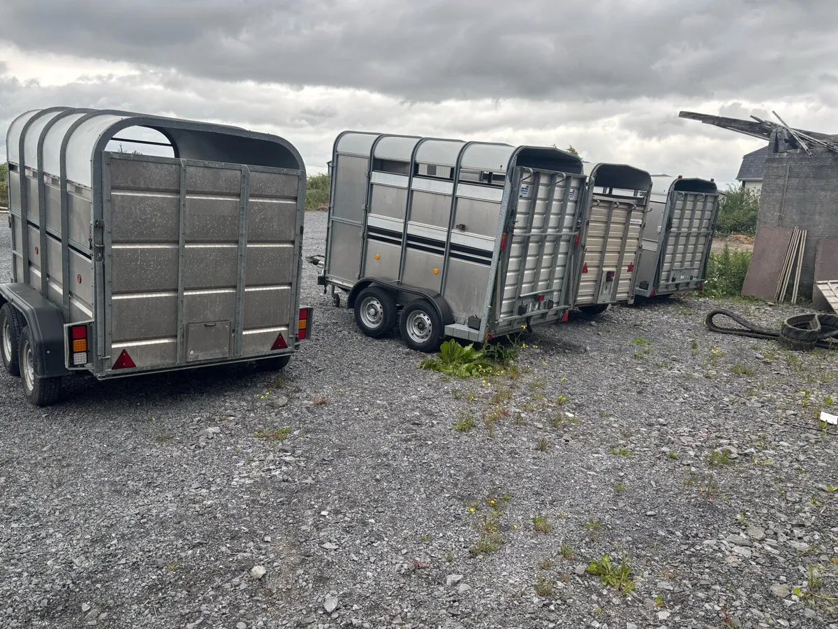 Selection of 8x5 livestock trailers - Image 3