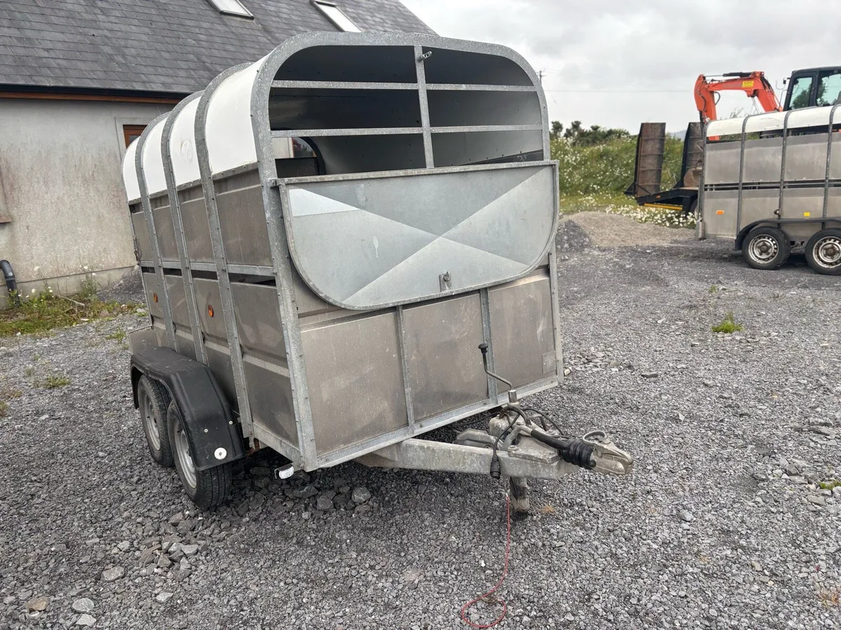 Selection of 8x5 livestock trailers - Image 4