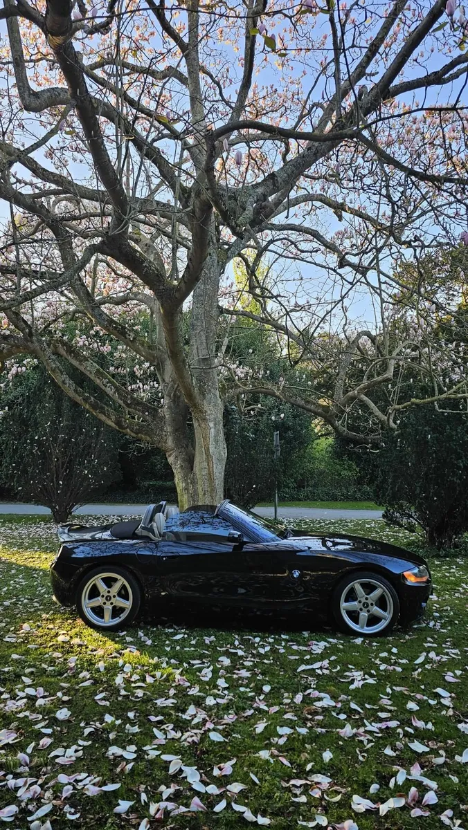 BMW Z4 2005 - Image 3