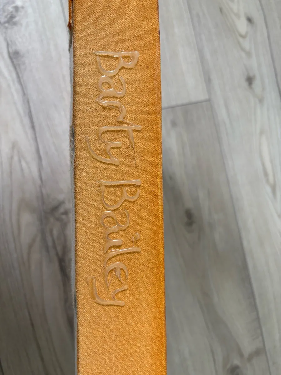 Barty Bailey canvas - Image 3