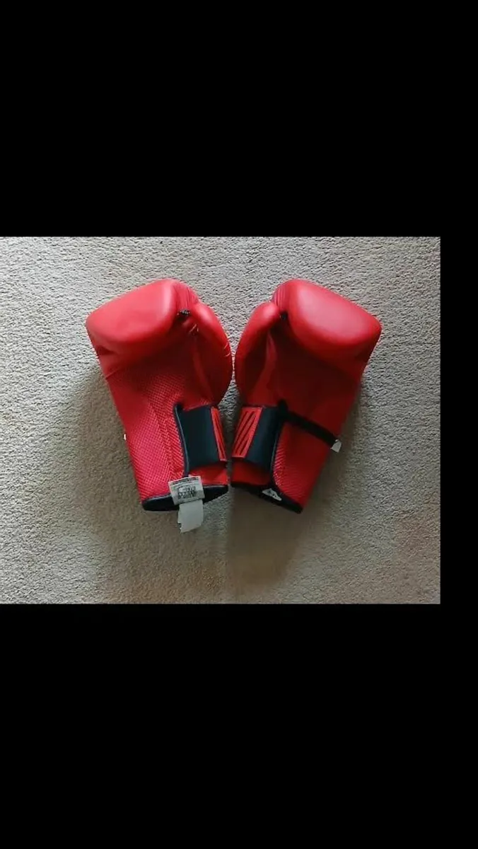 Punching ball and gloves - Image 3