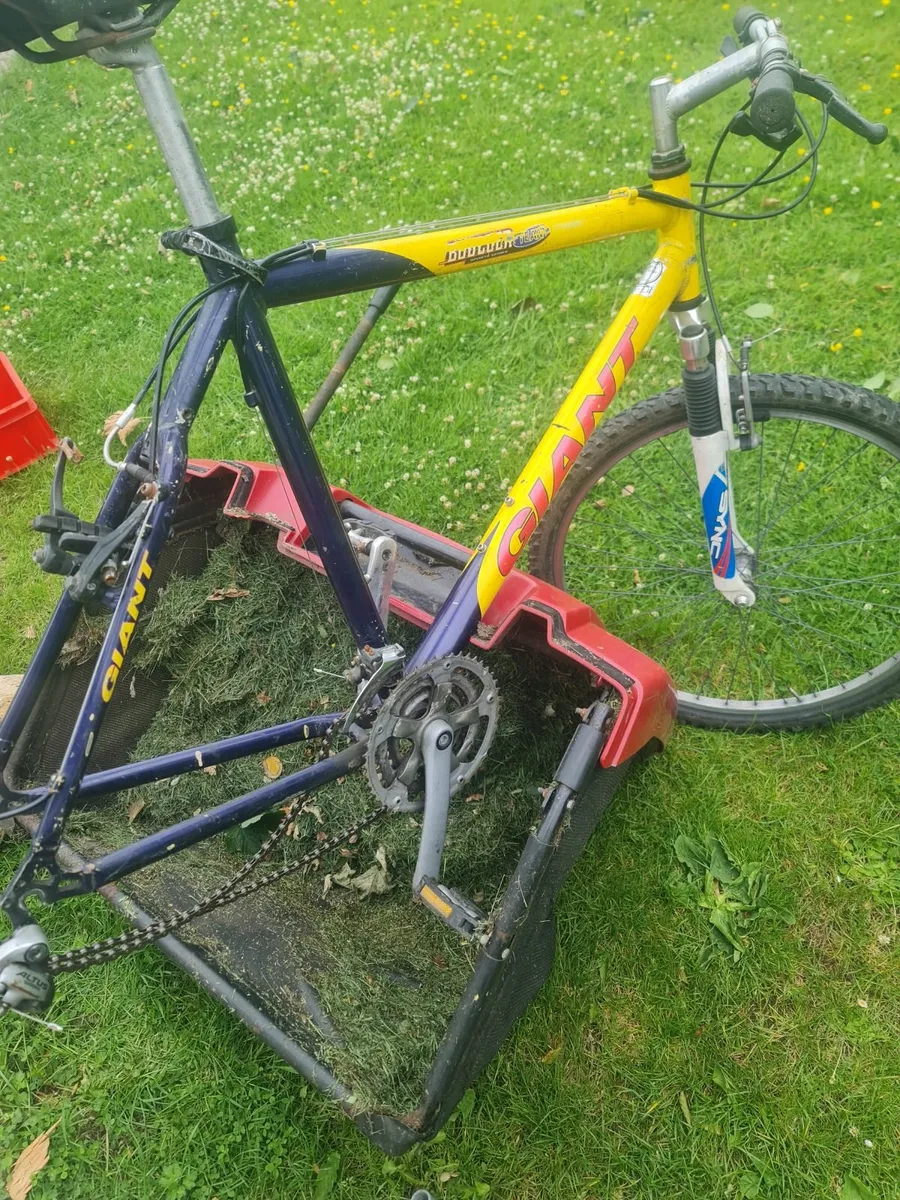 Free bike - Image 1