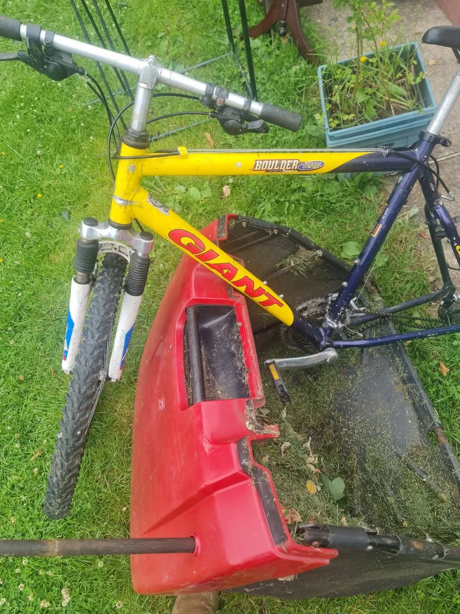 Free bike - Image 2