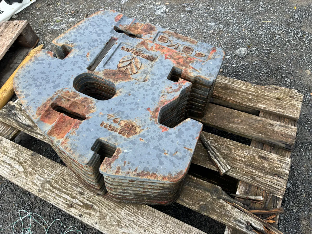 10 Newholland Fan Weights - Image 1