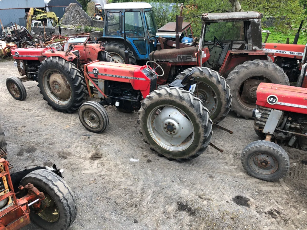 Wanted Massey Ferguson Tractors - Image 2