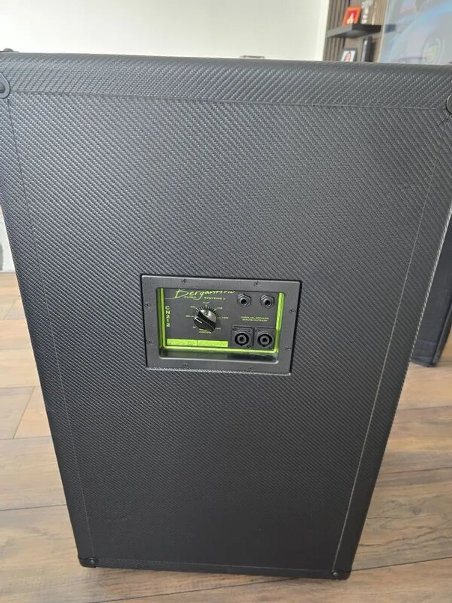 Bergantino Bass cabinet - Image 3