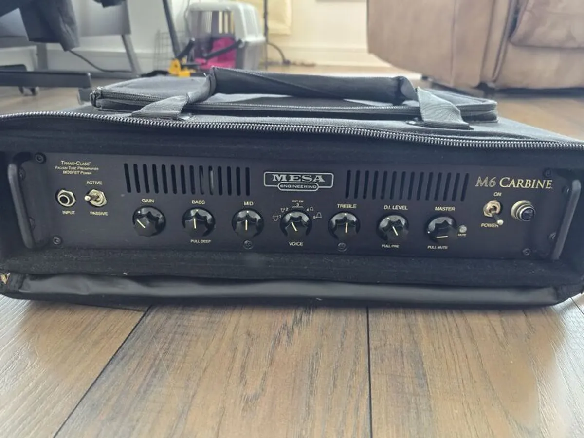 Mesa Boogie bass amp - Image 1