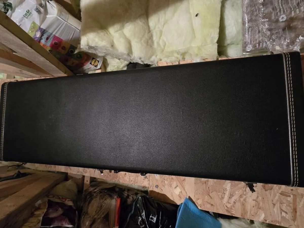 G&G Bass case - Image 1