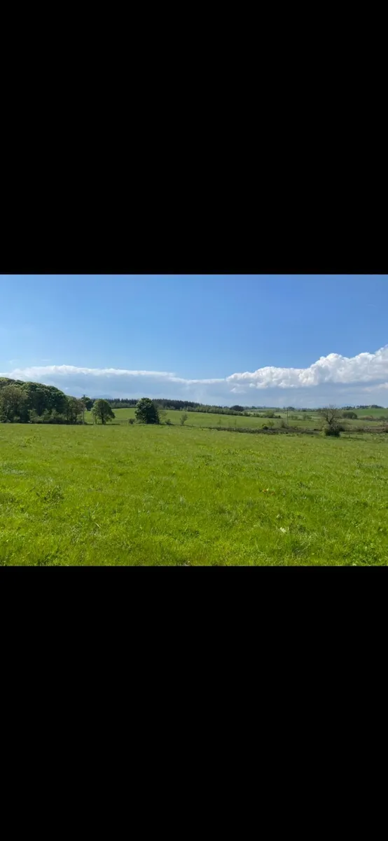 50 acres of land to let for silage cut. Mayo - Image 1